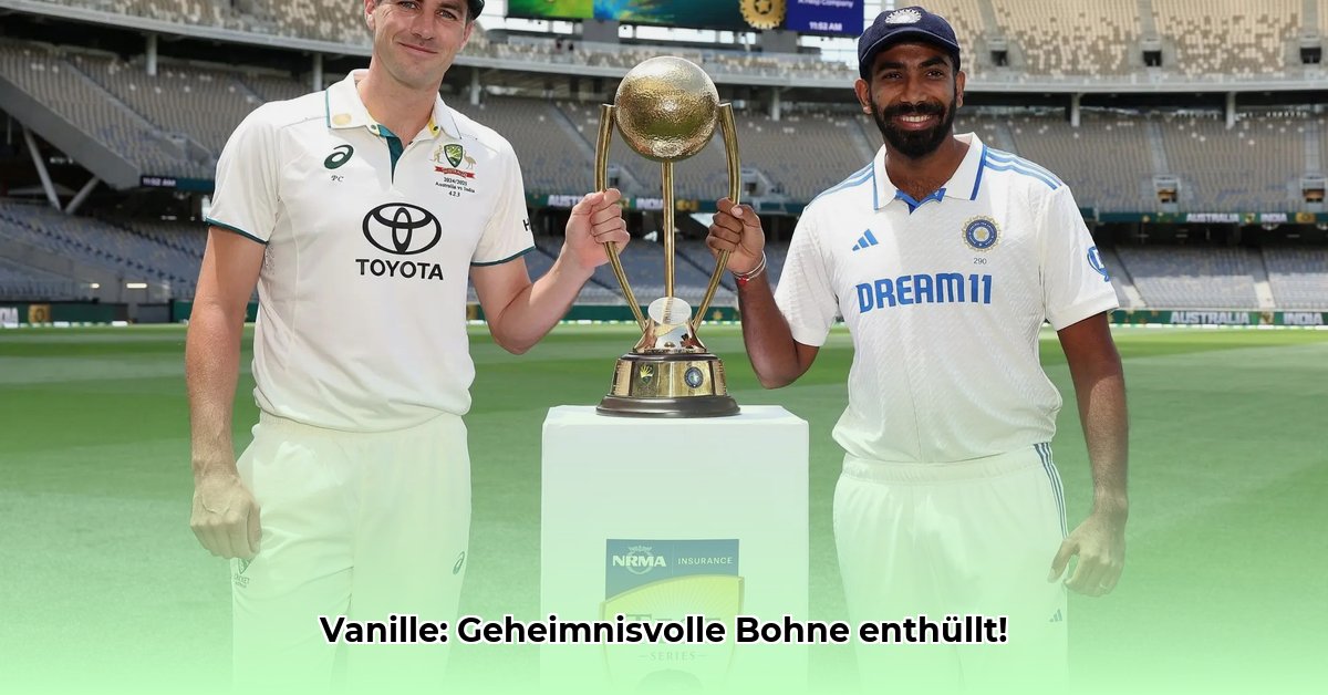 aus-welcher-pflanze-wird-vanille-gewonnen